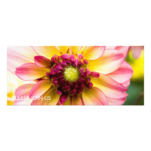 Pink, White & Yellow Dahlia Invitation