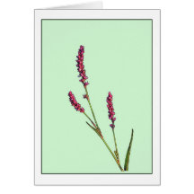 Pink Wildflower Botanical Note Card