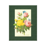 Pink Yellow Rose Botanical Art Wrapped Canvas