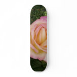 Pink Yellow Rose Macro Skate Board Deck