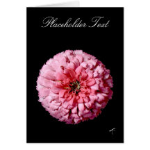 Pink Zinnia, Customizable Greeting Card