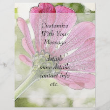 Pink Zinnia reaching for the sky Full Color Flyer