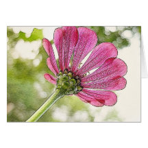Pink Zinnia reaching for the sky Greeting Card