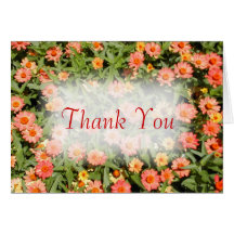 Pink Zinnia Thank You Card