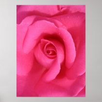 Pinkest Rose Print