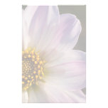 Pinkish White Dahlia DSC6067 Stationery Design