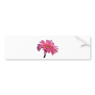 pinky bumper stickers by SNAPPYDAVE