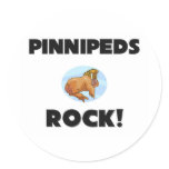 Pinnipeds Rock
