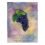 Pinot Noir Wine Grapes Postcard