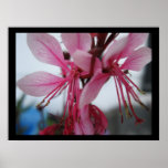 Pint Flowers Print