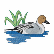 Pintail Duck