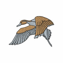 Pintail