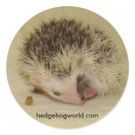 pinto face baby sticker
