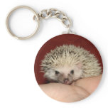 Pinto face hedgehog keychains