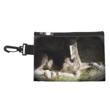 Pinto Foal Accessories Bag