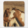 Pinto in Herd Mouse Pad