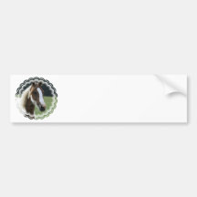 Pinto Pony Bumper Stickers