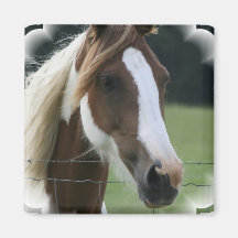 Pinto Pony Square Apron Refrigerator Magnet