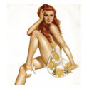 PinUpz Girl 1 t-shirts