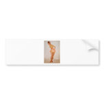 PinUpz Girl 3 Bumper Stickers
