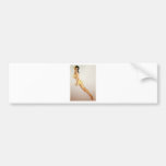 PinUpz Girl 7 Bumper Stickers