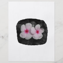 Pinwheel pink circle  flower cutout full color flyer
