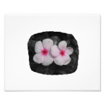 Pinwheel pink circle  flower cutout photographic print