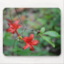 Pinxter Flower Mousepad