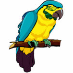 Pio Parrot photo sculptures