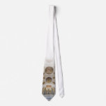 Pipe organ tie- Dillingen, Germany