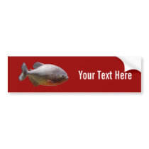 Piranha South American Fish