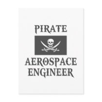 Pirate Aerospace Engineer