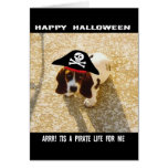 Pirate Bassett Hound Cards