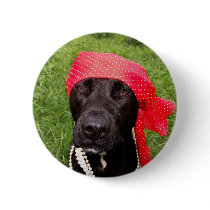 Pirate dog, black lab, red hankerchief green grass