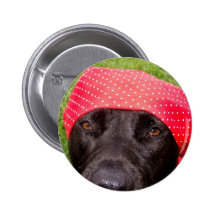 Pirate dog, black lab, red hankerchief green grass button
