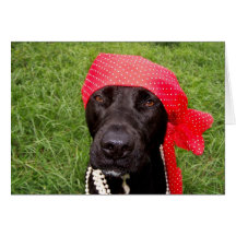 Pirate dog, black lab, red hankerchief green grass card