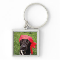 Pirate dog, black lab, red hankerchief green grass