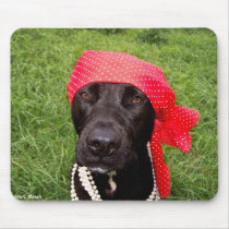 Pirate dog, black lab, red hankerchief green grass