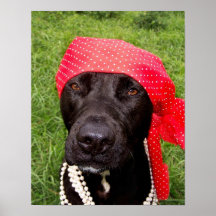 Pirate dog, black lab, red hankerchief green grass posters