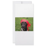Pirate dog, black lab, red hankerchief green grass rack cards