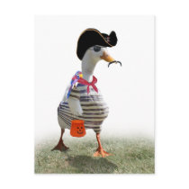 Pirate Duck Post Card