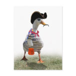 Pirate Duck postcards