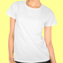 Pirate Dude t-shirts
