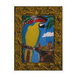 Pirate Parrot
