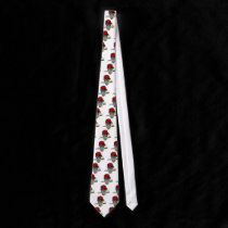 Pirate Skull Art ties