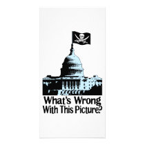 Pirates In Congress