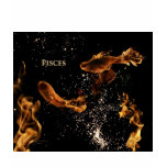 Pisces astrological sign t-shirts