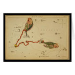 Pisces cards