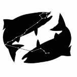 Pisces Constellation/Zodiac Photo Sculpture photo sculptures