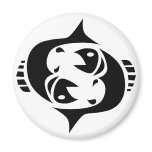 pisces magnets